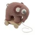 Pull-toy animal, Fanto the elephant, blossom pink