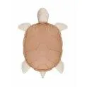 Turtle cushion