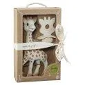 Sophie la girafe & caoutchouc à mâcher So'Pure - Des coffrets cadeaux personnalisables, des bons d'achat ou quelque chose de sympa pour la naissance. | Stadtlandkind