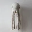 Big Albino Octopus BigStuffed