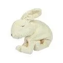 Snuggle- and warmth animal rabbit spelt big white