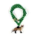 Chain fox Feline