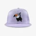 Toucan Do It Snapback Cap Purple - Great caps and sun hats - so that the heads of your children are also top protected in the water | Stadtlandkind