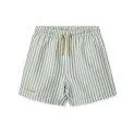 Duke Stripe Peppermint swim shorts - Crisp white