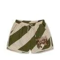 Asnou Dark Olive Creamy White swim shorts - Swim shorts and trunks for your kids - with the cool designs bathing fun is guaranteed | Stadtlandkind