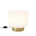 Dentelles Wide XL Lampe mit Kabel und Dimmer - goldener Fuss - Schöne und praktische Lampen und Nachtlichter für dein Zuhause | Stadtlandkind