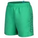 Fundamentals Arena green quartz/purple blue swim shorts