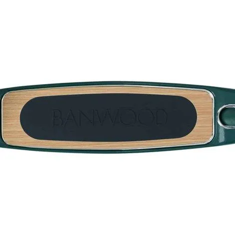 Maxi Scooter Vert - Banwood