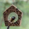 Nourriture pour oiseaux Cabane à oiseaux - Fidea Design