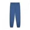 Blue Moon sweatpants - Gray Label