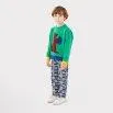 Strickpullover Hungry Squirrel Green - Bobo Choses