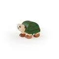 Tortue