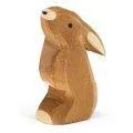 Ostheimer Lapin oreille basse