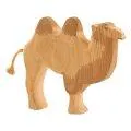 Ostheimer camel