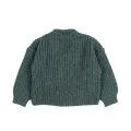 Veste en tricot Pockets Bosco