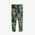 Leggings Daisys Aop Green