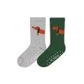 Anti-slip dog socks set of 2