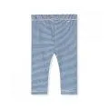 Baby leggings Blue Moon Cream