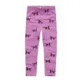 Leggings Dogs Purple Pink 