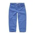 Hose Denim Molecule Blue 