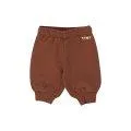 Baby trainer pants Solid Chocolate