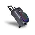 Bontempi Wireless Lautsprecher-Trolley 250W