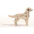 Ostheimer Dalmatian