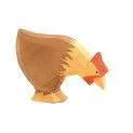 Ostheimer chicken brown pecking