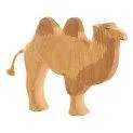 Ostheimer camel