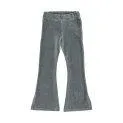 Pantalon Rib Velvet Elephant