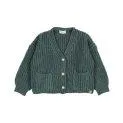 Veste en tricot Pockets Bosco