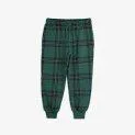 Pantalon de jogging Check Aop Green