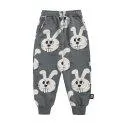 Trainerhose Bunny Grey 