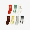 Socken 7-er Pack Society