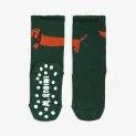 Anti-slip dog socks set of 2