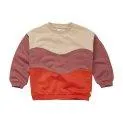 Sweatshirt colorblock mauve