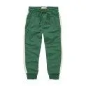 Pantalon de jogging Track Evergreen