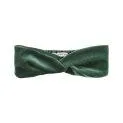 Bandeau de cheveux Evergreen