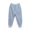 Elephant jogging pants