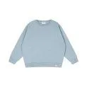 Sweatshirt Crewneck Blue Frog 