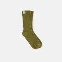 Chaussettes Shortsocksk260 Green