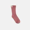 Chaussettes Shortsocksk260 Rose