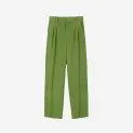 Pantalon Carrot Olive