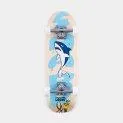 Skateboard Corkgrip Shark