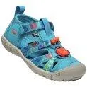 Water sandals Seacamp II CNX smokey bear/fjord blue