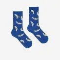 Beneath the Moon Navy Blue socks