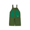 Baby dungarees Color Blocked Moss Green