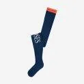 Bobo Choses tights Navy Blue