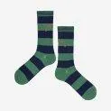 Socks Striped Multicolor