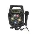 Amplificateur Bontempi avec microphone, sans fil